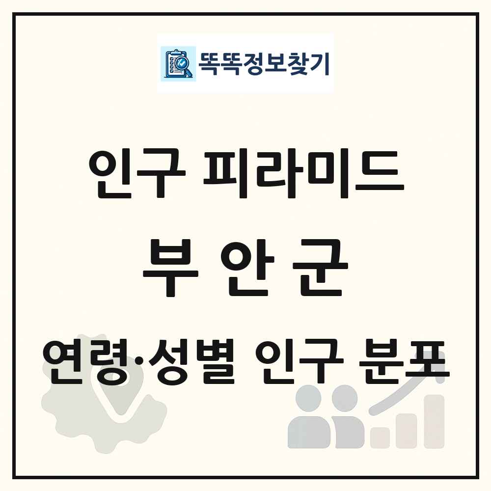 부안군 인구 피라미드 링크 그림